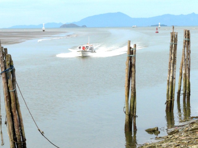 Mersing low tide